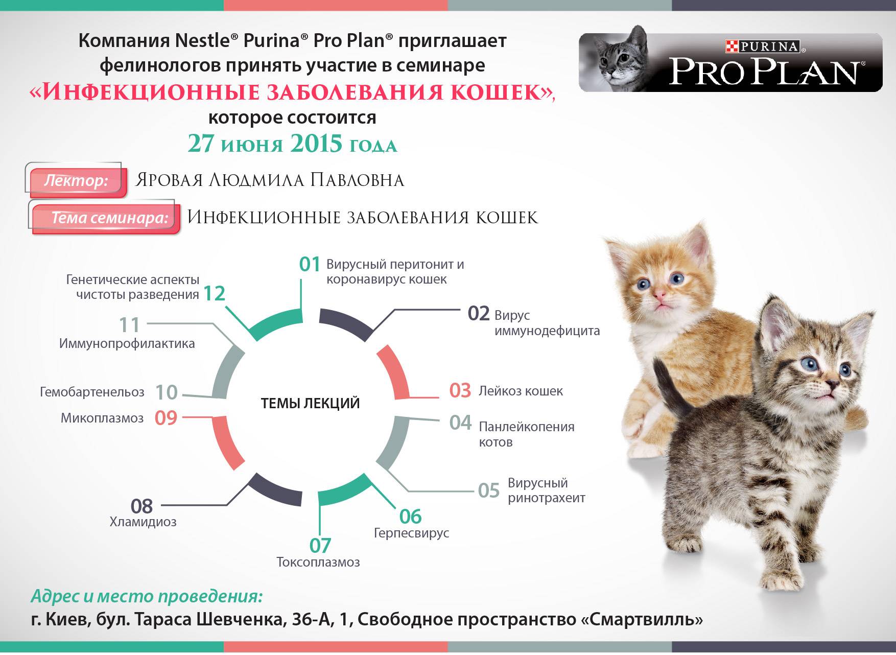 Презентация болезни кошек