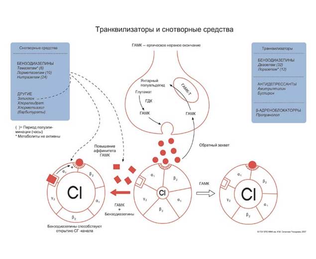 Механизм действия транквилизаторов схема