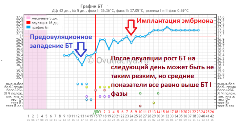 На какой день происходит. График БТ С имплантационным западением. Графики базальной температуры с имплантационным западением. Имплантация эмбриона график БТ. БТ после имплантации эмбриона.