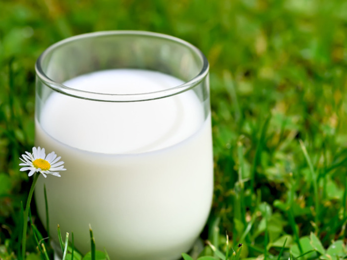 Молоко - это питательная, насыщенная витаминами жидкость естественного происхождения