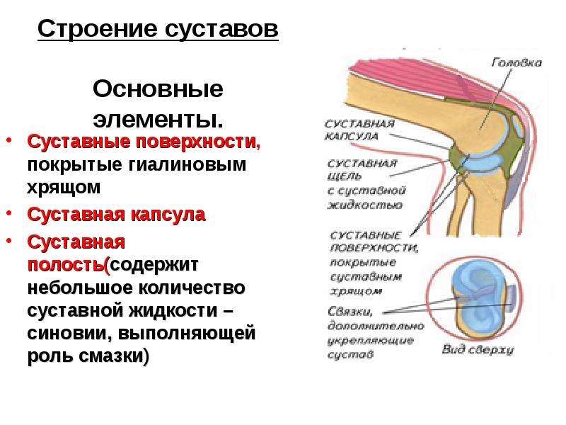 Жидкость в суставах