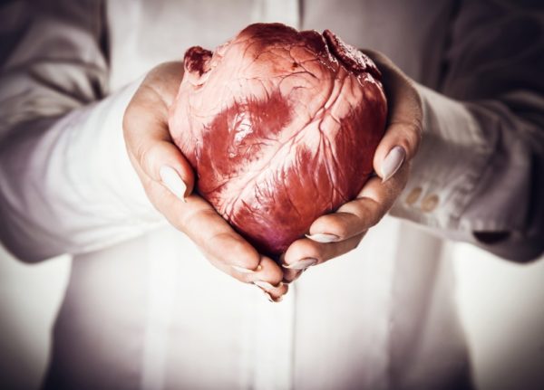 Сердце в руках медика