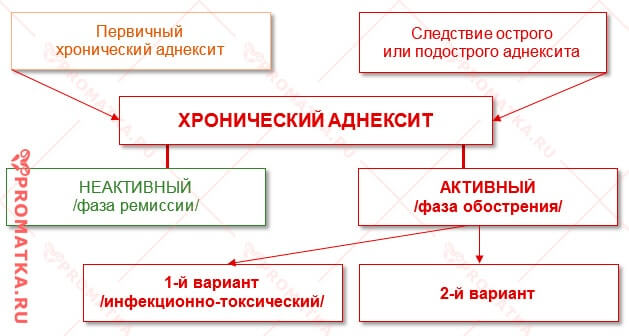 Хронический аднексит - схема