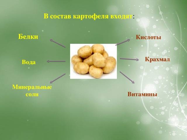 Какой химический картофеля. Картофель вещества. Питательные вещества в картошке. Из чего состоит картофель. Крахмал в картошке.