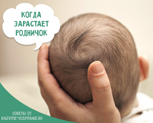Главная картинка