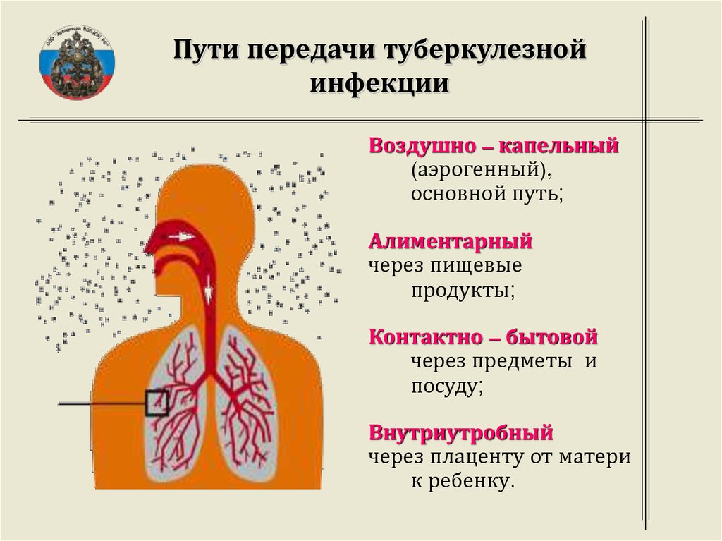 Пути передачи туберкулеза