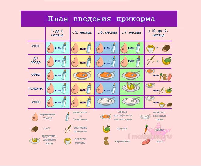 Схема прикорма с 5 месяцев на грудном