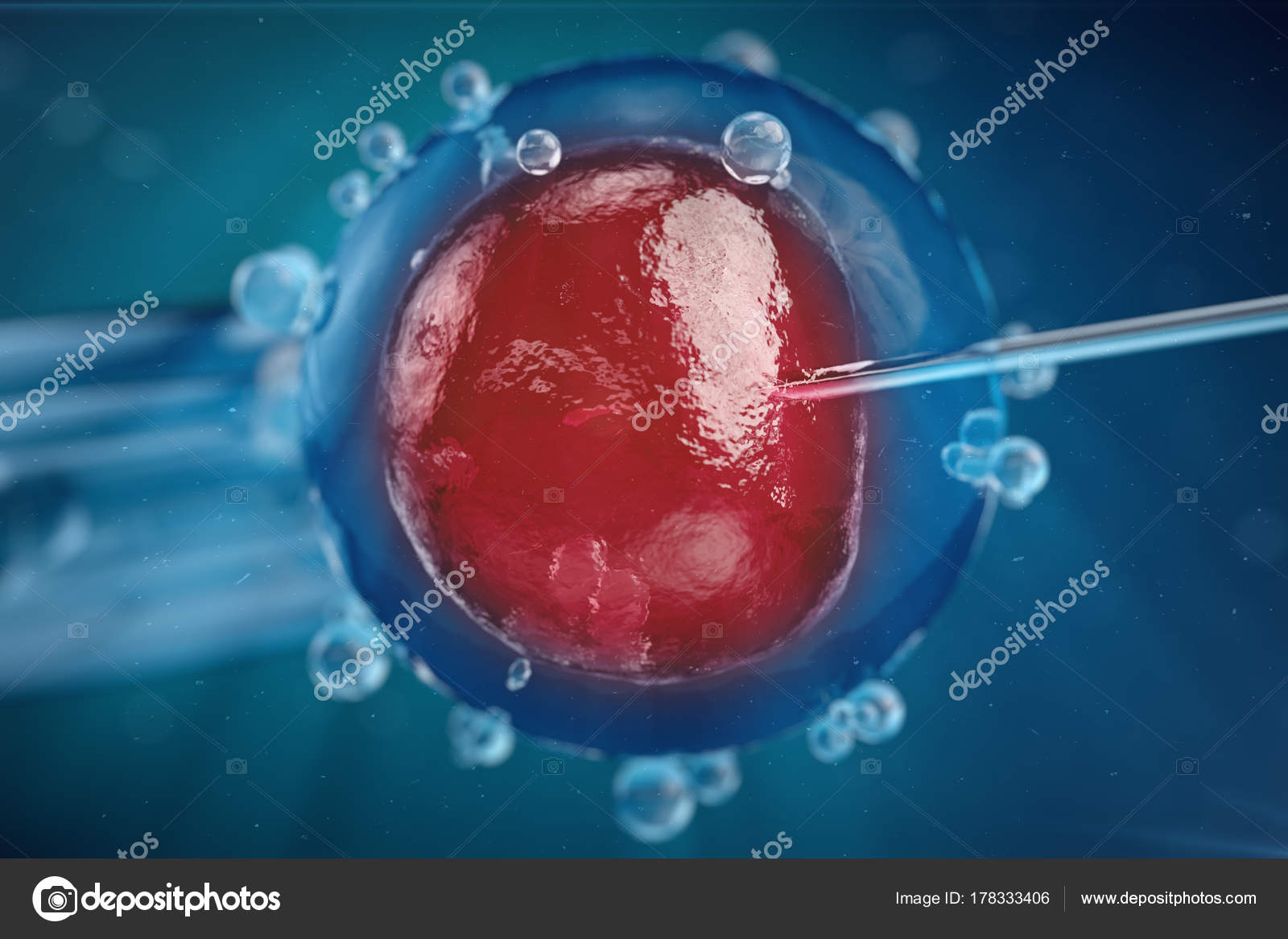 Женщины доноры яйцеклеток. Экстракорпоральное оплодотворение. Яйцеклетка в пробирке. Оплодотворение in vitro. Эко экстракорпоральное оплодотворение.
