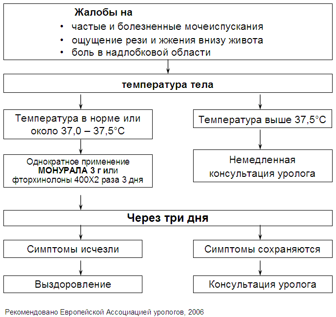 Лечение геморрагического цистита у женщин препараты схема лечения