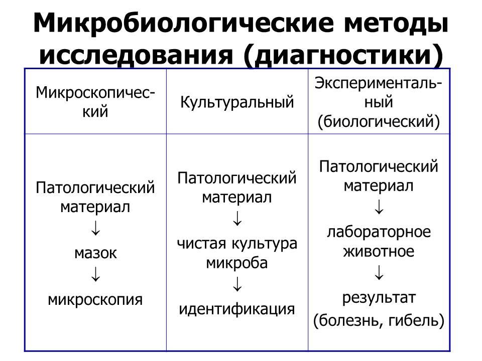 Виды микроскопии схема