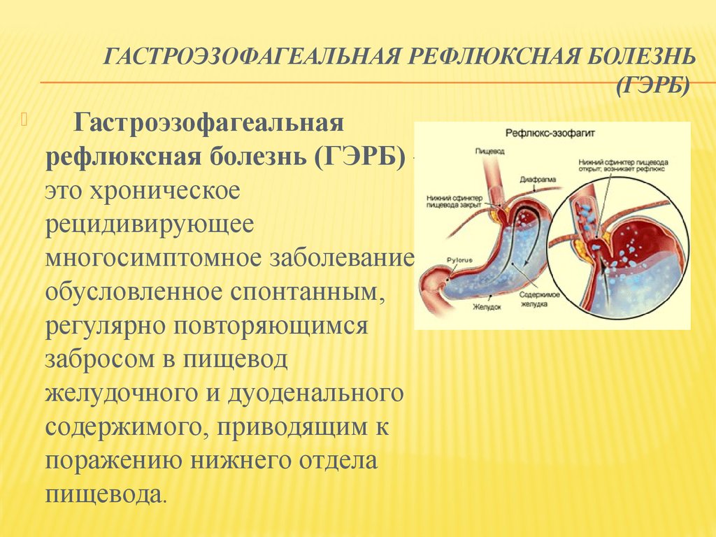 Гэрб у детей презентация