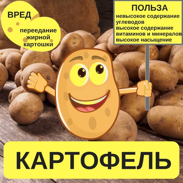 Пищевая ценность картошки