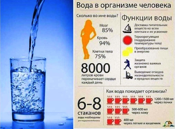 Пить 4 литра в день. Польза воды коротко. Вода в организме. Чем полезна вода для организма человека. Полезность воды для человека.