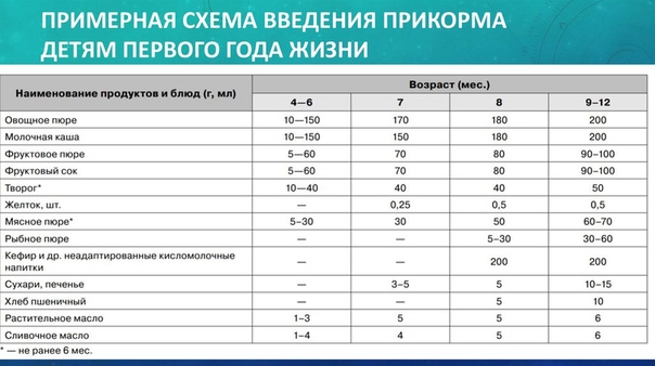 Прикорм с общего стола в 7 месяцев