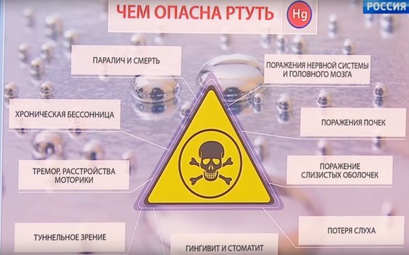 Отравление животных ртутью презентация