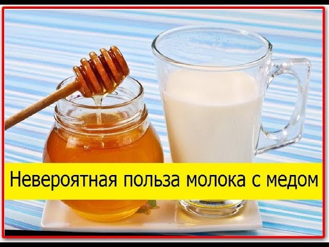 При кашле пить молоко с медом. Молоко с мёдом на ночь. Горячее молоко с медом. Тёплое молоко с мёдом. Молоко с медом при кашле.