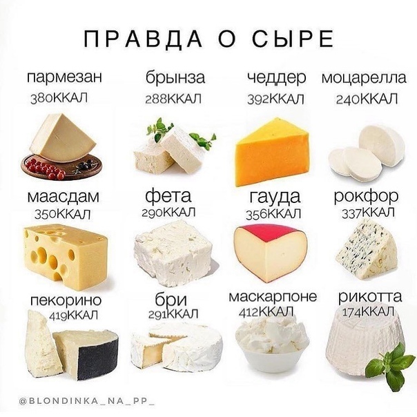 сколько калории в сыре