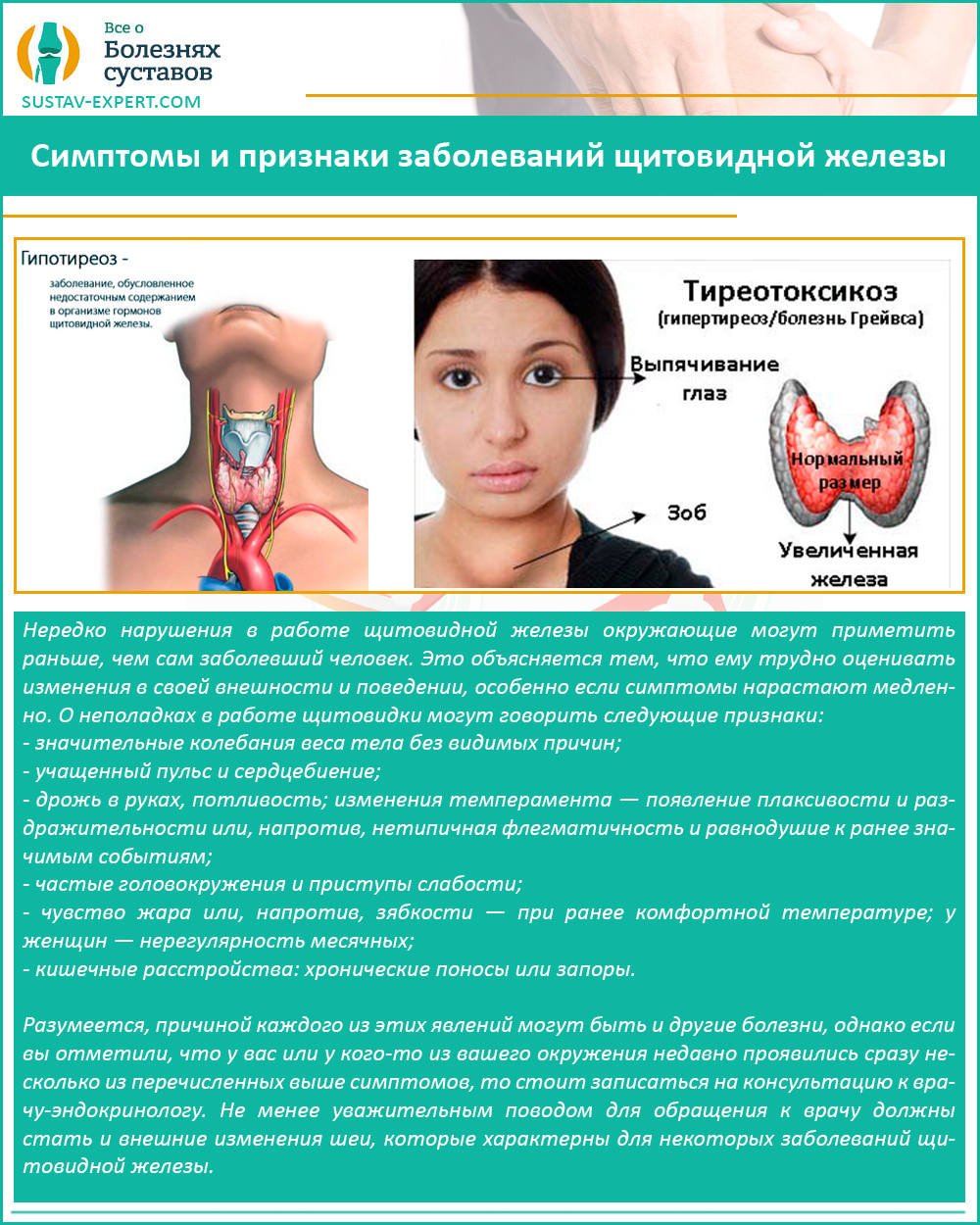 Щитовидная железа симптомы заболевания у женщин внешние признаки и внутренние фото признаки