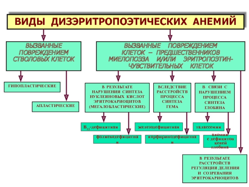 Железодефицитная анемия карта вызова скорой медицинской помощи