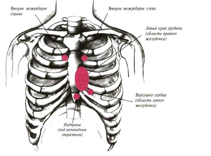 Боли под правой грудиной. Что болит посередине грудной клетки между ребрами спереди. Что болит внизу между ребрами спереди. Болят ребра спереди посередине грудной клетки. Боли ребер грудной клетки справа спереди.
