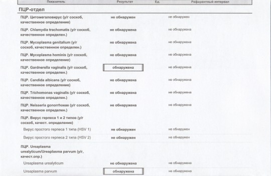 Метод пцр у женщин. Анализы ПЦР на 12 инфекций. ПЦР 12 инфекций расшифровка. ПЦР исследование на 13 инфекций. Анализ на инфекции гинекология.