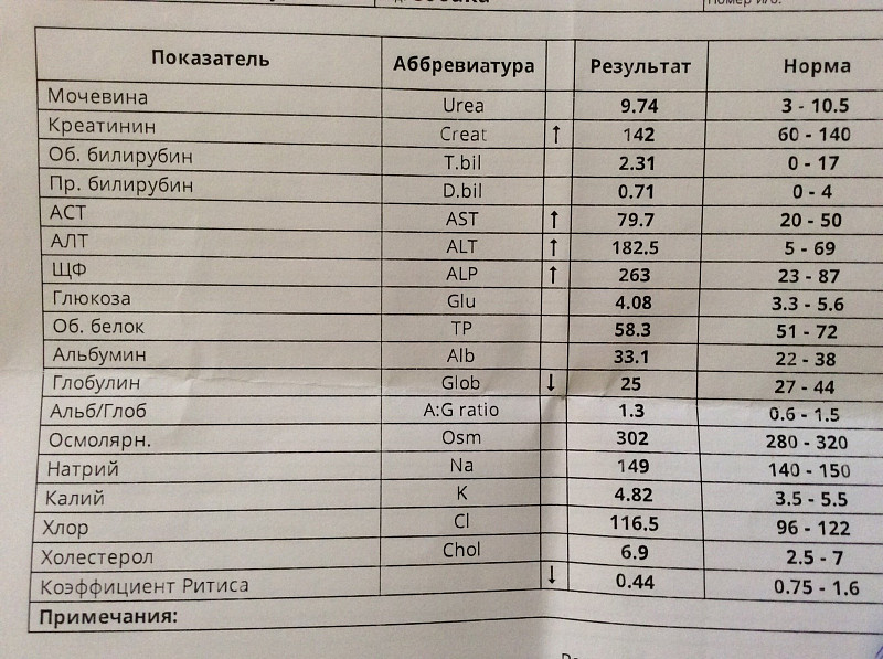 Креатинин у детей. Анализ крови креатинин норма. Биохимический анализ крови креатинин норма. Обозначение мочевины в биохимическом анализе крови. Показатели крови креатинин и мочевина норма.